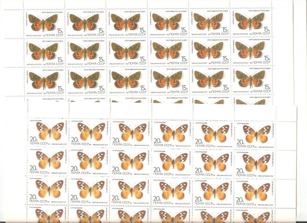 151.№5705-09.БАБОЧКИ.МЕДВЕДИЦА КРАСНОТОЧЕЧНАЯ.ЗЕРИНТИЯ КАВКАЗСКАЯ.ЛЕНТА ОРДЕНОНОСНАЯ МАЛИНОВАЯ.САТИР