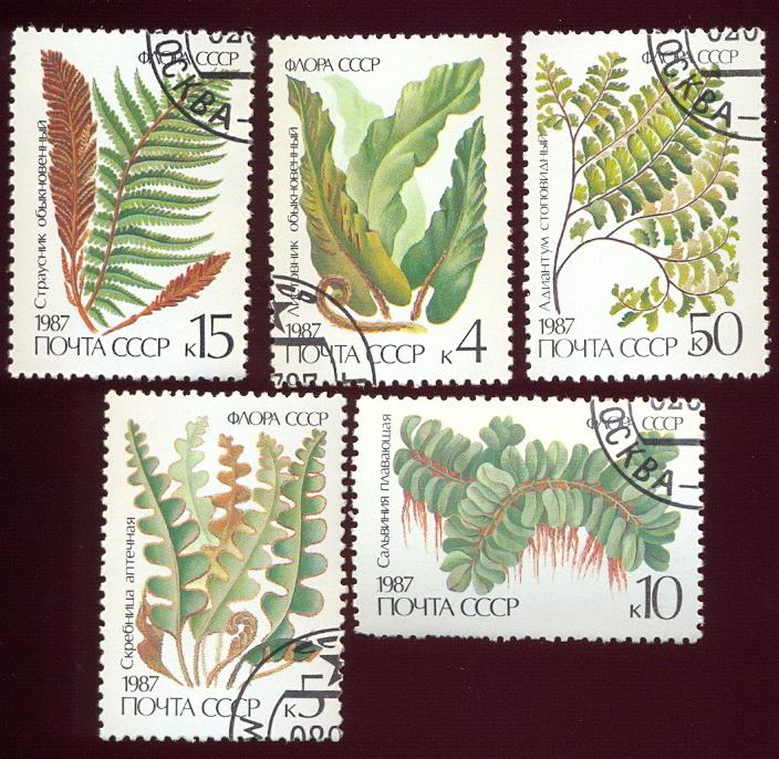 СССР. Флора. Ягоды 1987 (10.15)