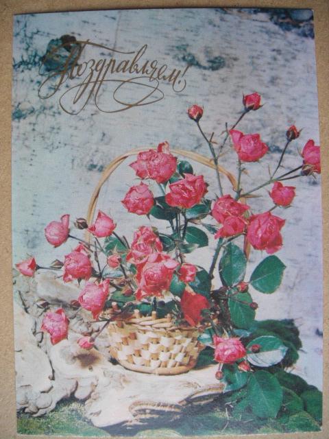 КОРЗИНА РОЗ №2. Фото Б.Куцко. 1975