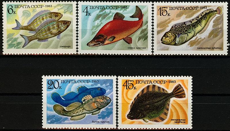 Марки Промысловые рыбы 1983 год СССР