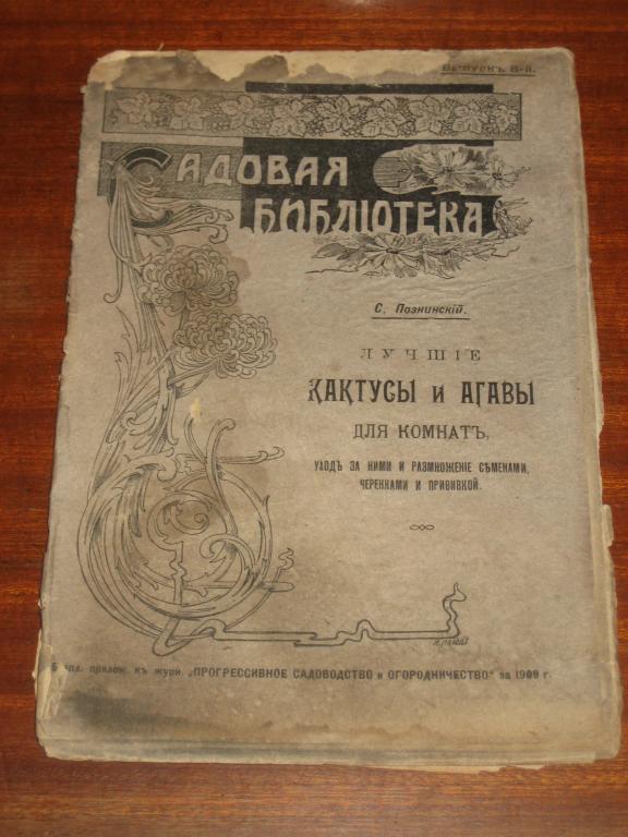 Кактусы и агавы для комнат 1908 г Кактус Агава 