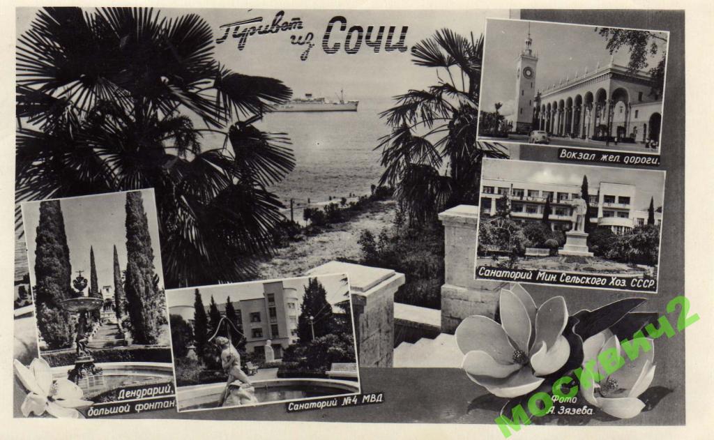 ПРИВЕТ ИЗ СОЧИ МУЛЬТИ ФОТО ЗЯЗЕВ 1955 