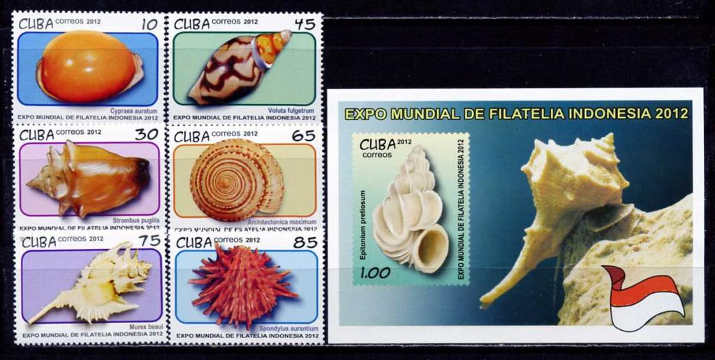 Куба 2012. Море. Фауна. Раковины. MNH.
