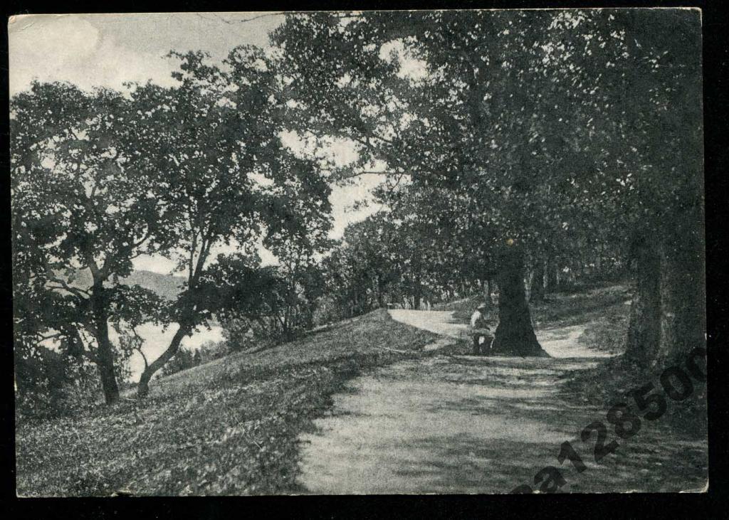 Липецк курорт Верхний парк тир 2500 