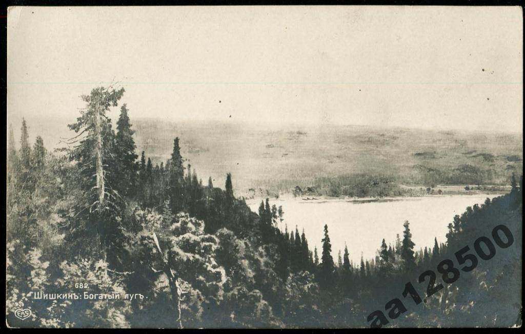 201 Шишкин Богатый путь