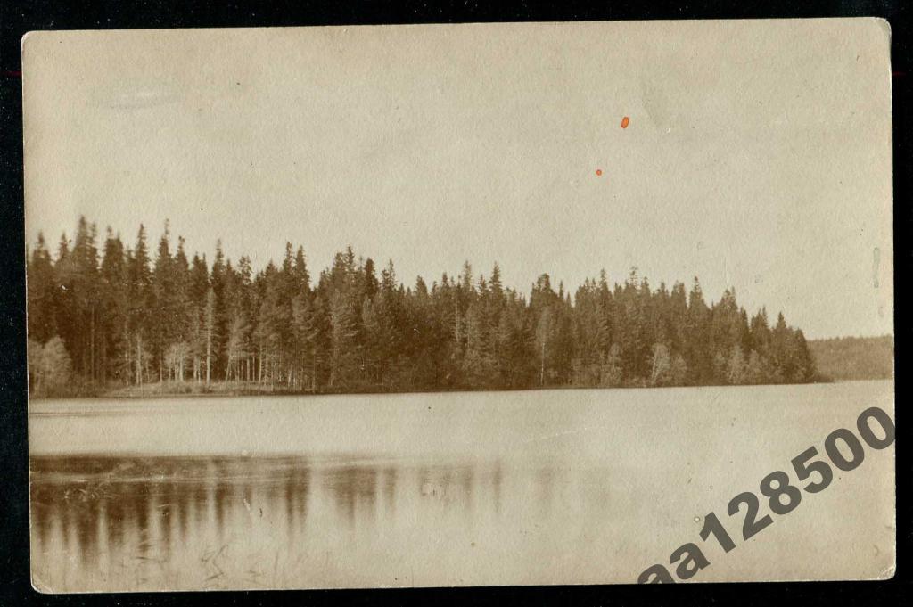 710 фотооткрытка Валдай Новгород губ 