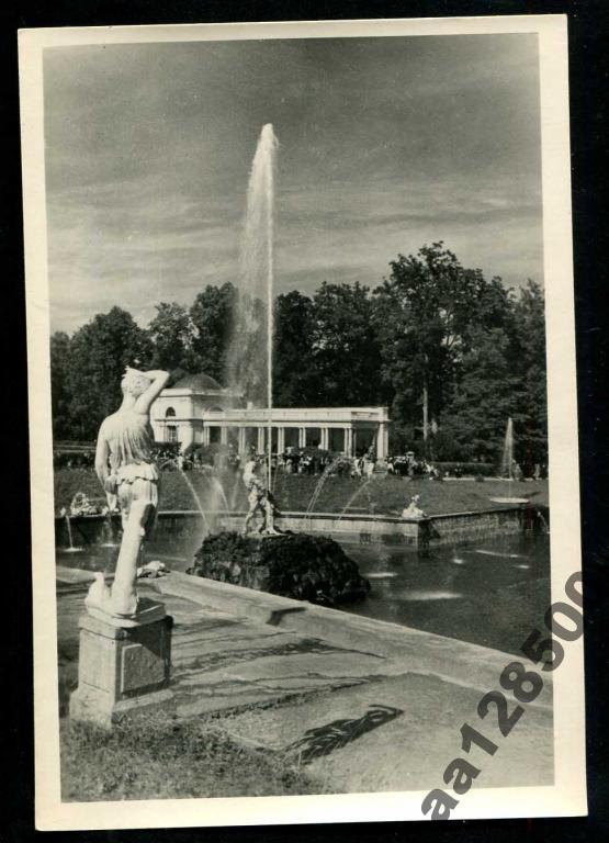 112 Петродворец 1953 фонтан Самсон 