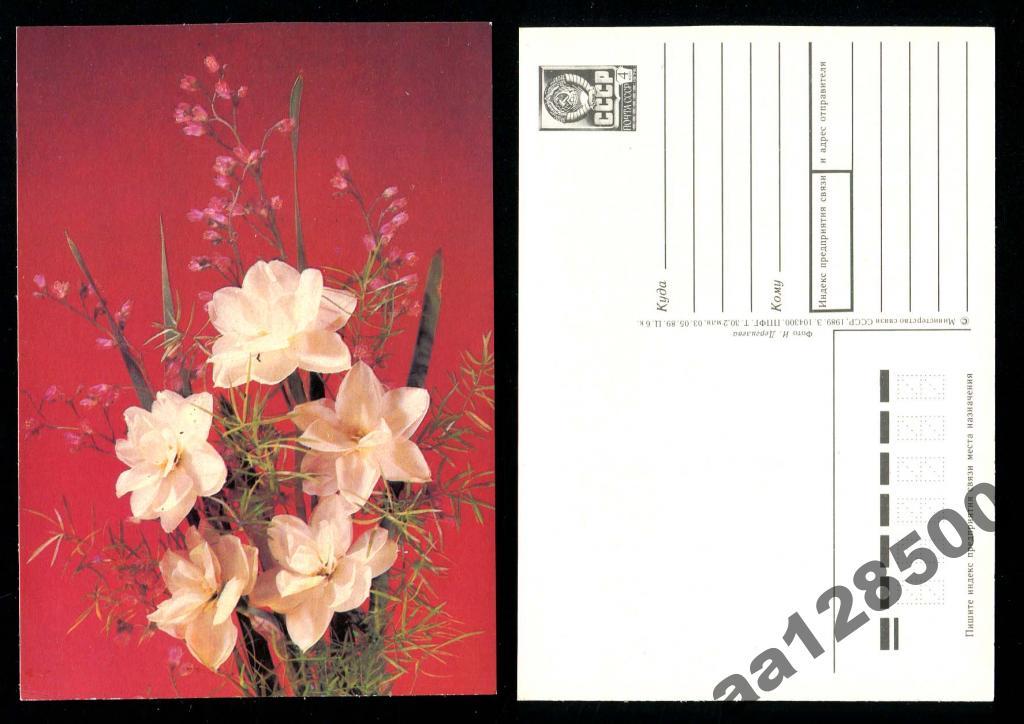 ДМПК 03 05 1989 Дергилева цветы 