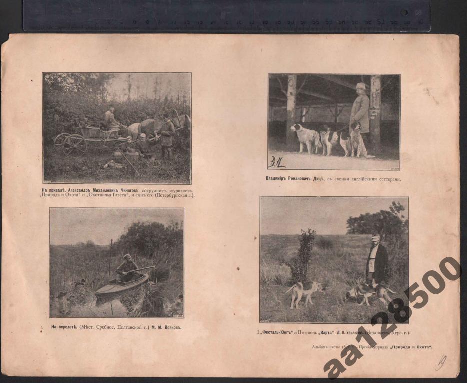 Охота Полтава Петербург Николаев сеттер 1896 