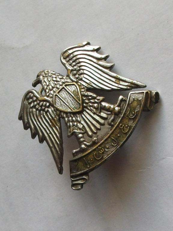 Карс орел. Значок орла. Нагрудный знак Орел. Нагрудный значок с орлом. Нагрудные знаки Ливии.
