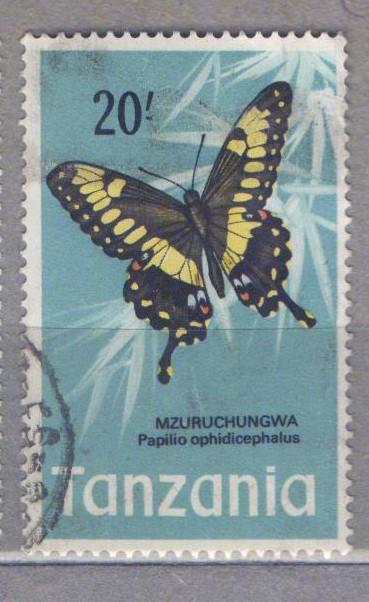 Butterflies 1975. Бабочки (1975)