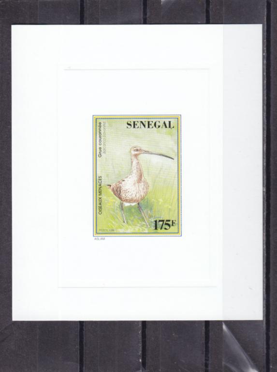 SENEGAL  СЕНЕГАЛ  Фауна   Птицы   БЛОК ЛЮКС  Сост**