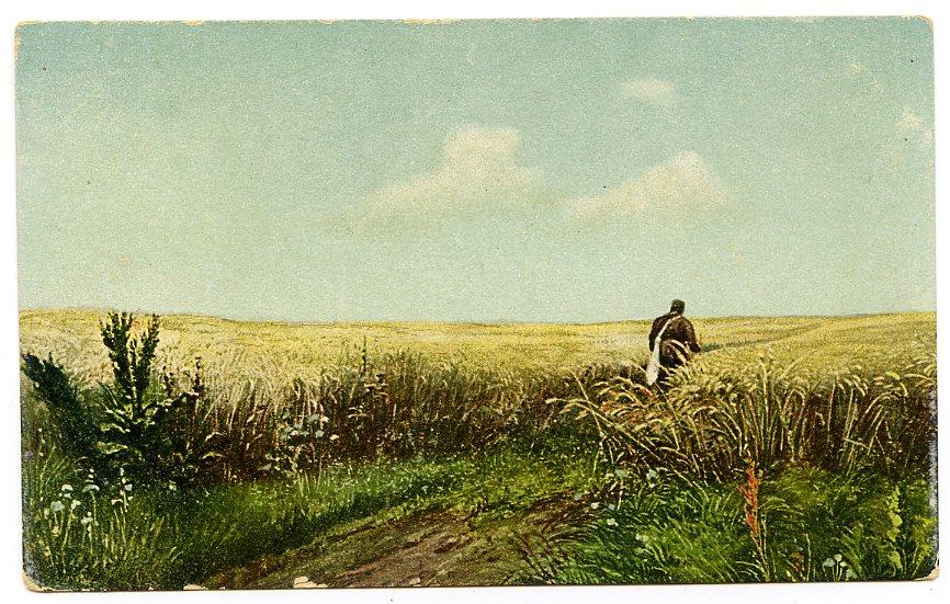 The road in the rye. Дорога во ржи картина Мясоедова. Г. Мясоедов. Дорога во ржи (1881 г.).
