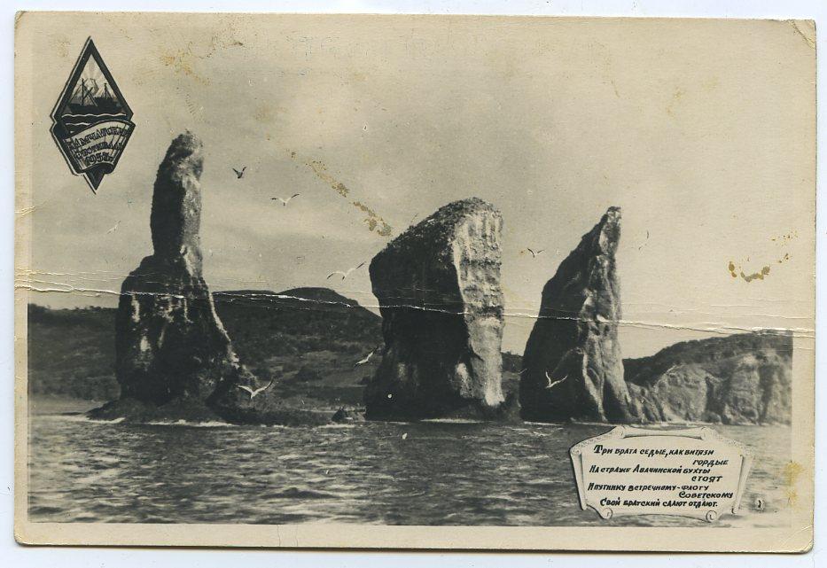 Рисунок 3 брата камчатка
