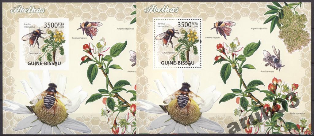 Гвинея-Бисау 2009 Фауна Насекомые Пчелы Флора Цвет 