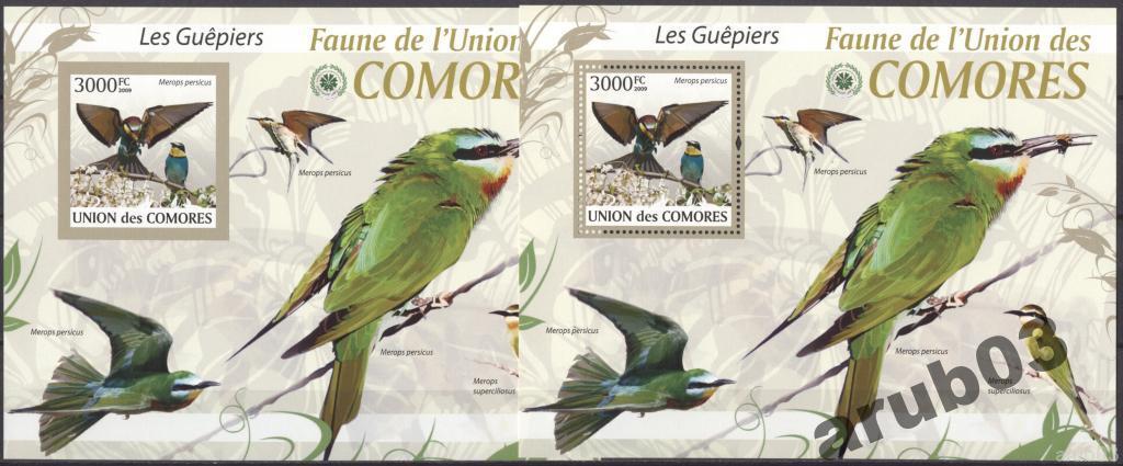 Коморы 2009 Фауна Птицы Зелёная щурка 2бл+2л**з+бз 