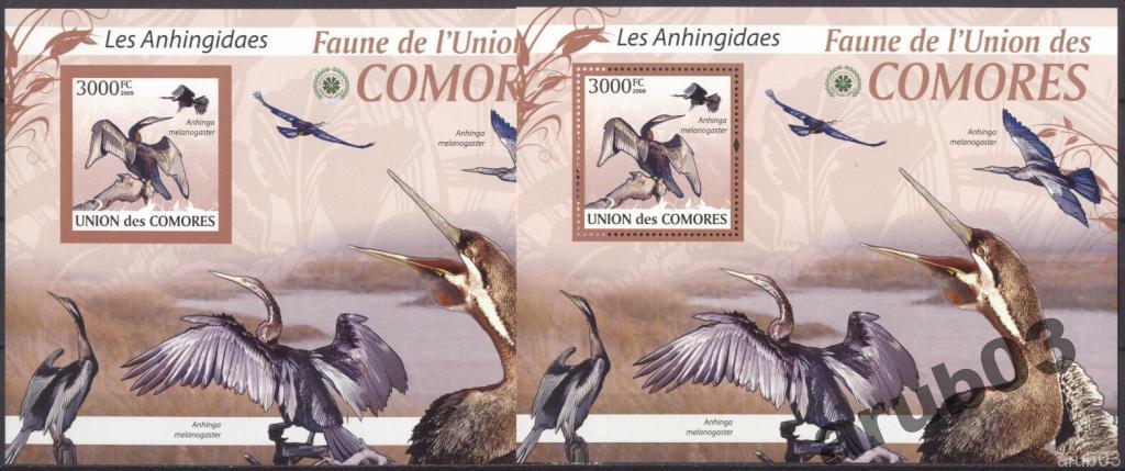 Коморы 2009 Фауна Птицы Индийские змеешейки 1бл+1л 