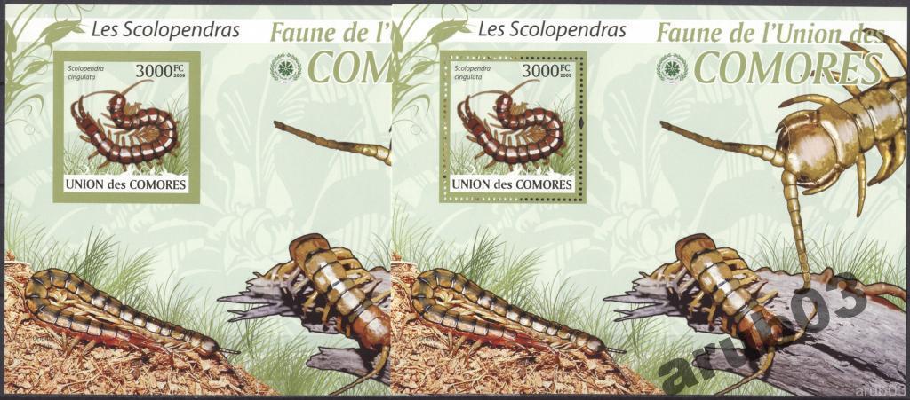 Коморы 2009 Кольчатая сколопендра 2бл+2л**зуб+б/з 
