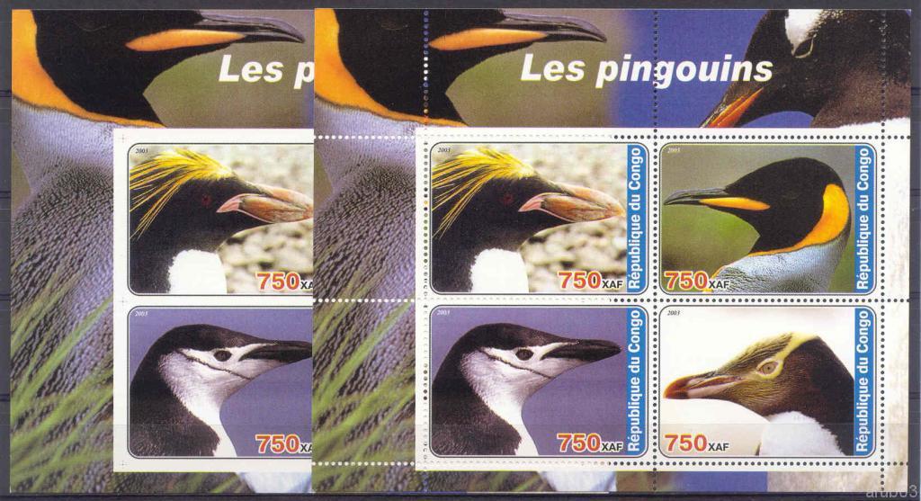 Конго 2003 Африка фауна птицы пингвины 2блока** 