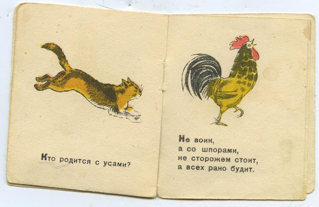 Картинка книжка малышка загадки