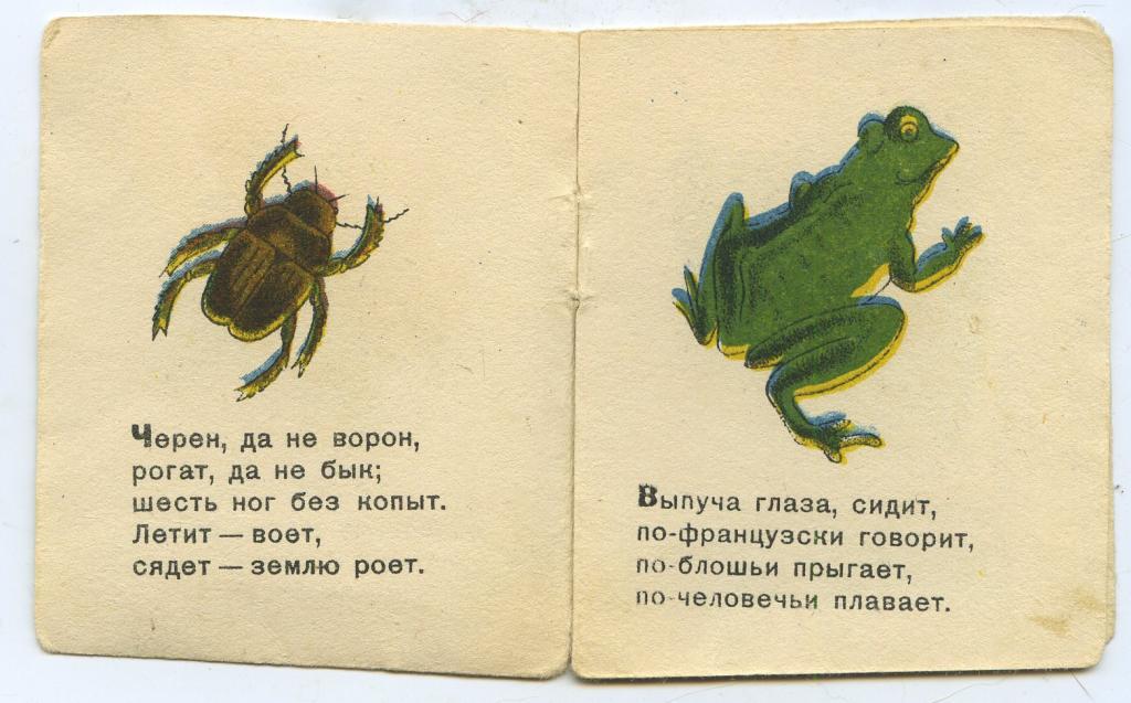 Картинка книжка малышка загадки