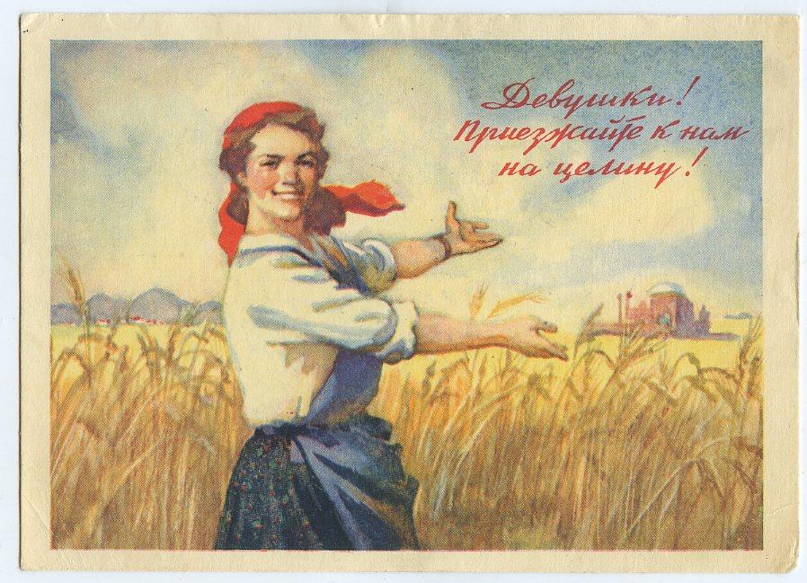 Картинки про целину