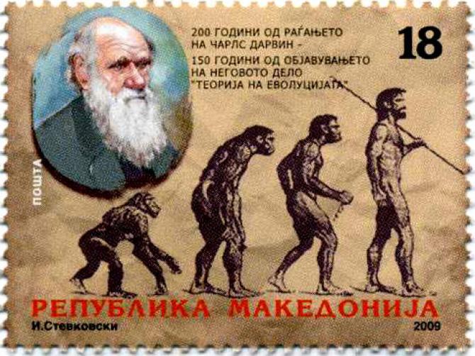 Дарвин простейшие. Дарвин простейшие. Дарвин простейшие. Менно схилтхёйзен. Дарвин простейшие.