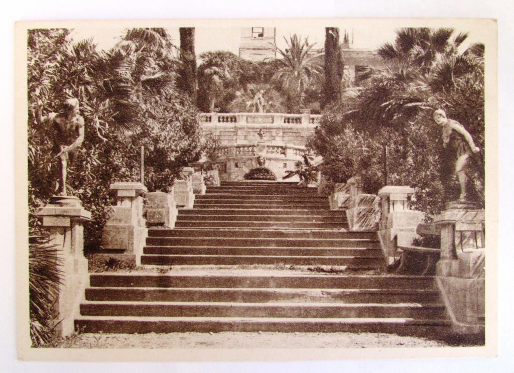 Сочи Парк с-х опытной станции Лестница