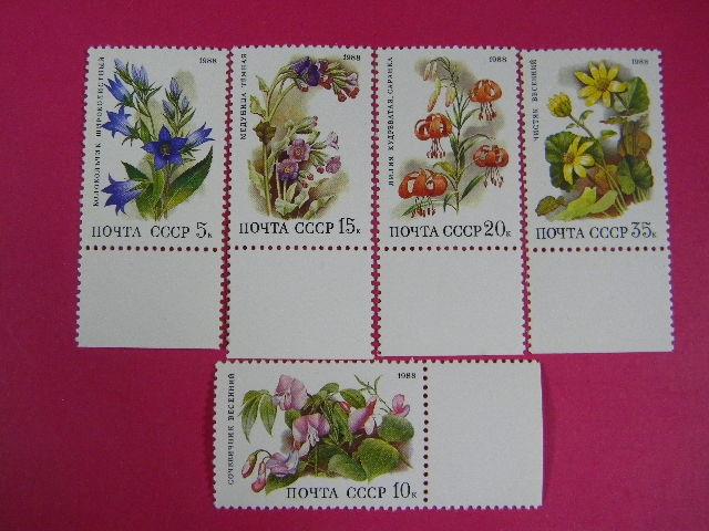 1988 СССР Цветы широколиственных лесов 5899-5903** серия