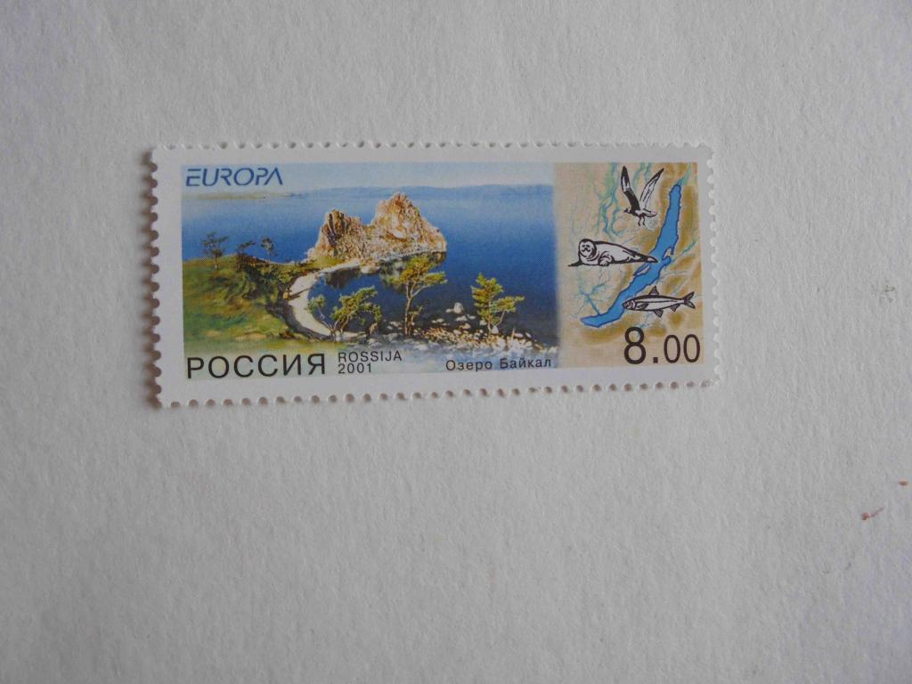 ПОЧТОВЫЕ МАРКИ.РОССИЯ 2001 ГОД **ФЛОРА,ФАУНА.