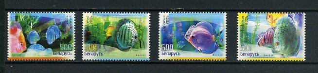 Беларусь  - 06 Аквариумные рыбки  - 4м