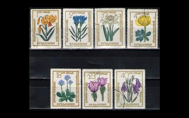 Болгария 1972 Mi 2197-03 Цветы СТО 001/095