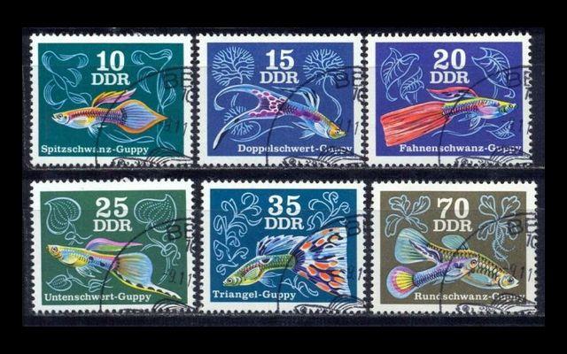 ГДР 1976 Mi 2176-81 Декоративные рыбы СТО 001/205