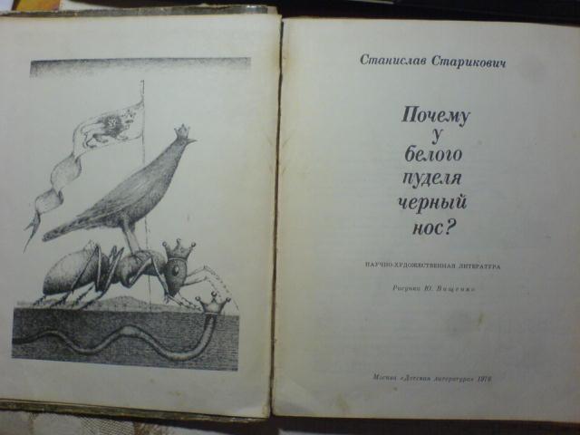 Белый пудель план по главам по