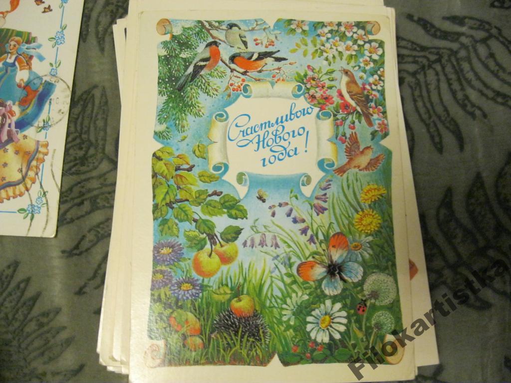 ПОХИТОНОВА ДМПК С НОВЫМ ГОДОМ ПТИЦЫ ЕЖ 