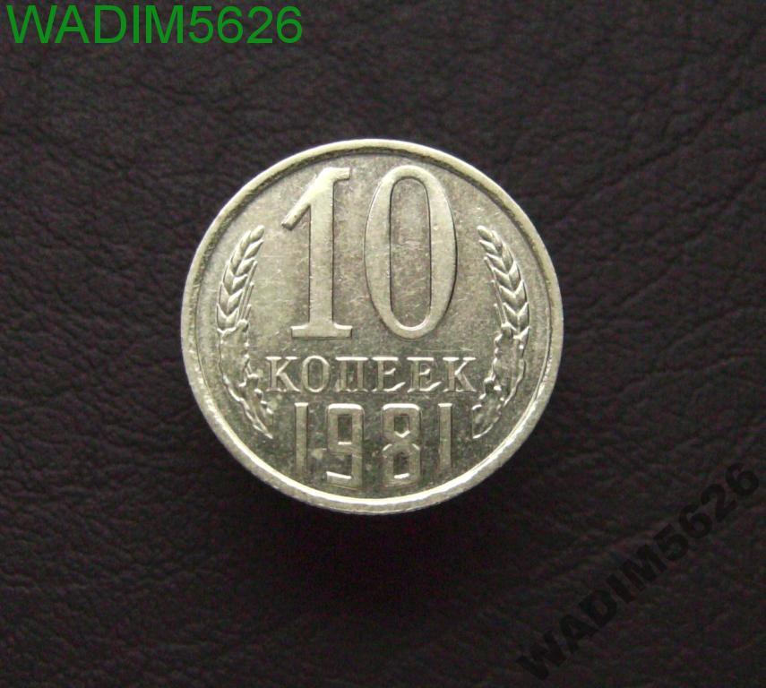 10 копеек 1981 года Состояние! (10-5)