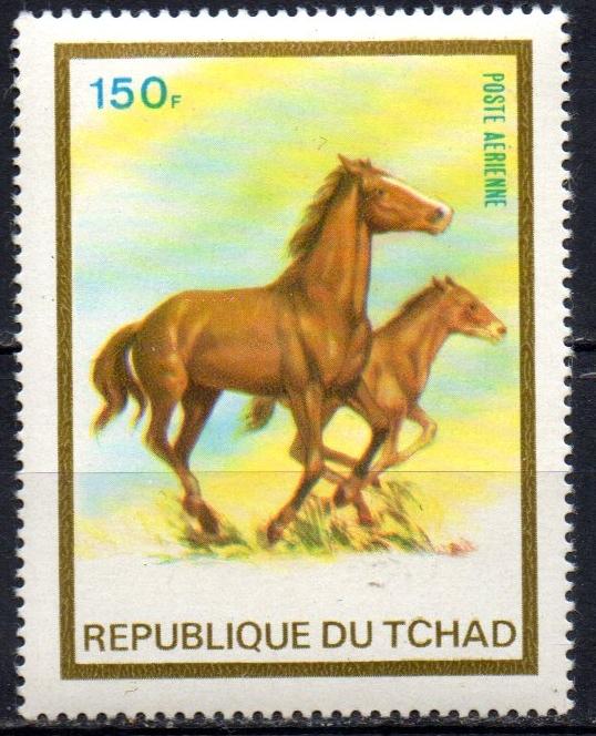 Чад 1973 Лошадь, жеребенок**