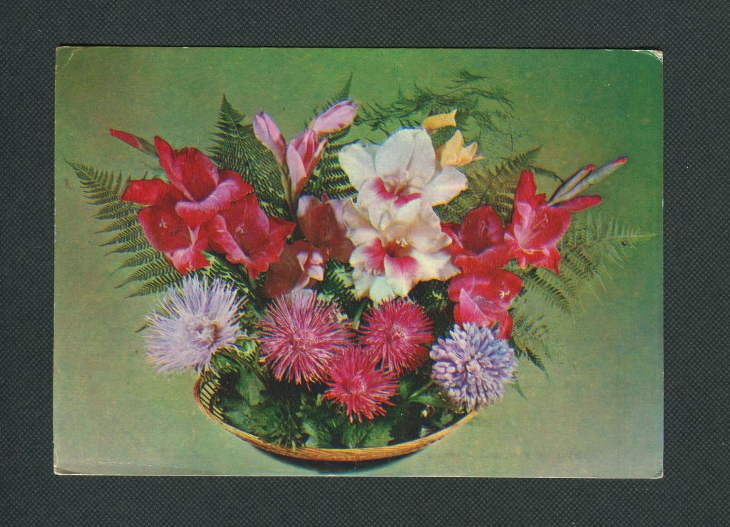 Открытка. 1980 год. Композиция из цветов. Чистая. Планета. фото. Ю. Круцко. #297.