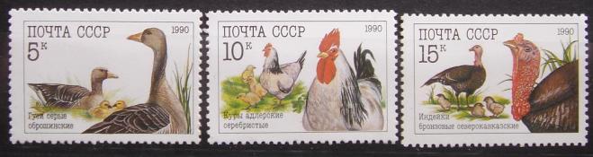 СССР 1990 СK 6158-0 Домашние птицы серия MNH