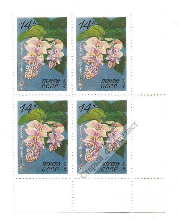 СССР 1971 год № 4084** "Цветы. Мединилла великолепная". Квартблок.