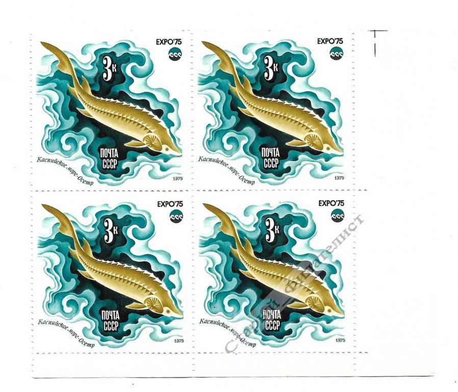 СССР 1975 год № 4479** "ЭКСПО-75. Осётр". Квартблок.