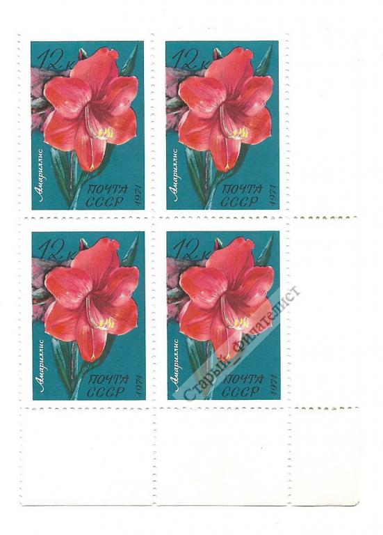 СССР 1971 год № 4083** "Цветы. Амариллис". Квартблок.