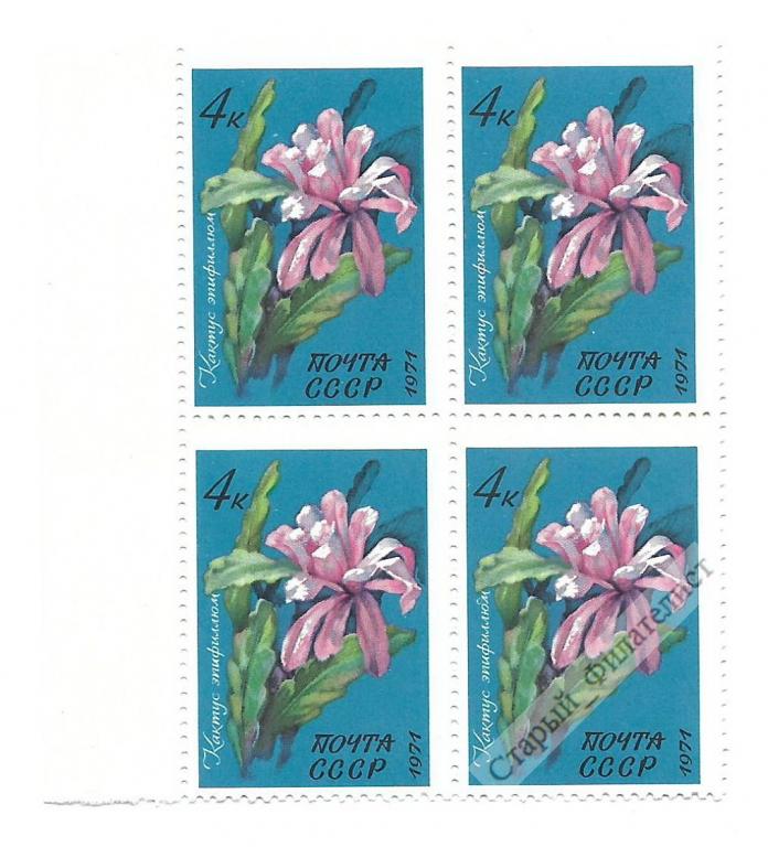 СССР 1971 год № 4082** "Цветы. Кактус эпифиллюм". Квартблок.