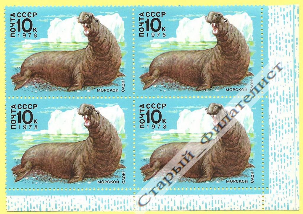 СССР 1978 год № 4850** "Морской слон". Квартблок.