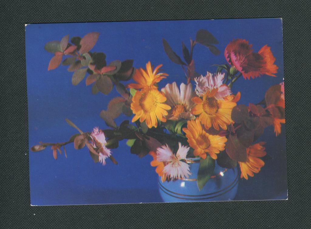 Открытка. 1976 год. Цветы. композиция.  фото М. Мезенцева и Л. Садловской. #334.