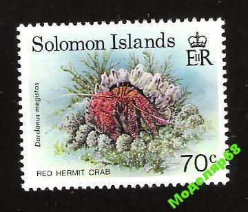 RED HERMIT CRAB . КРАБ . СОЛОМОНОВЫ ОСТРОВА. чист. 