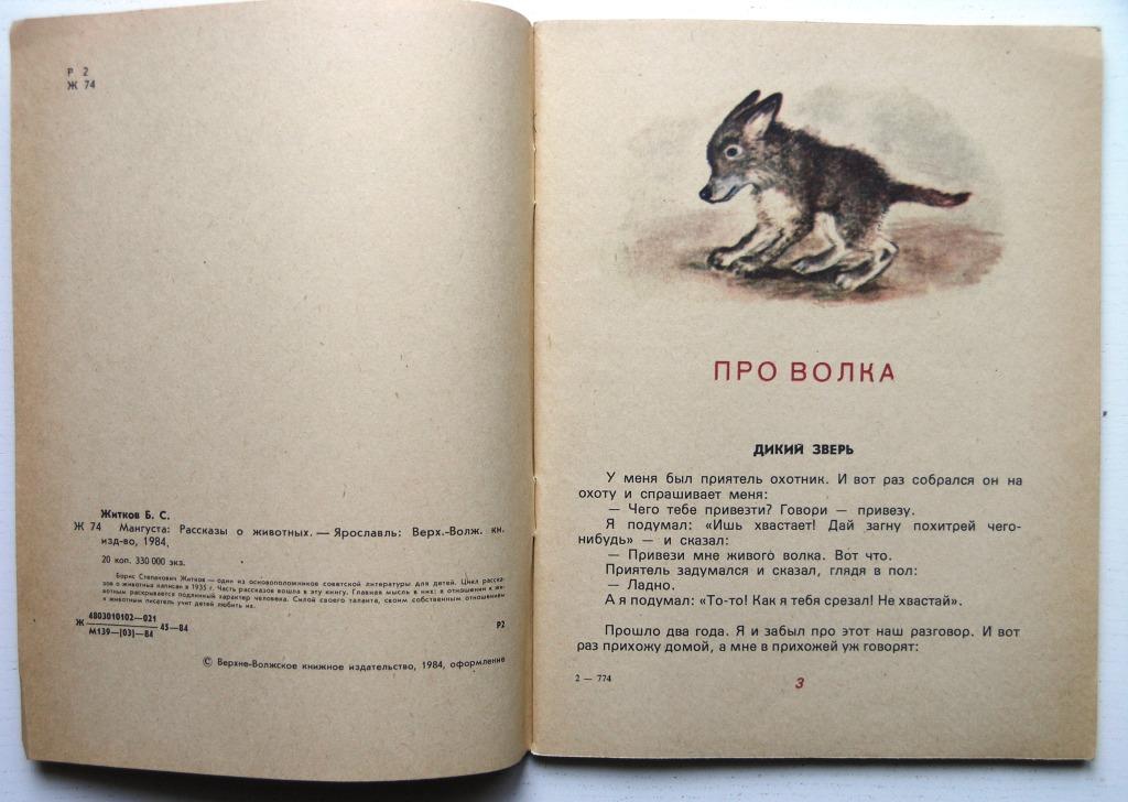 План текста мангуста