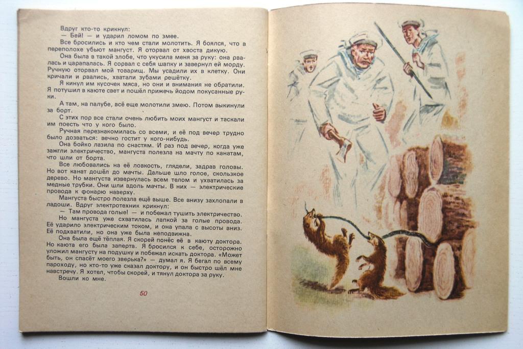 План рассказа мангуста