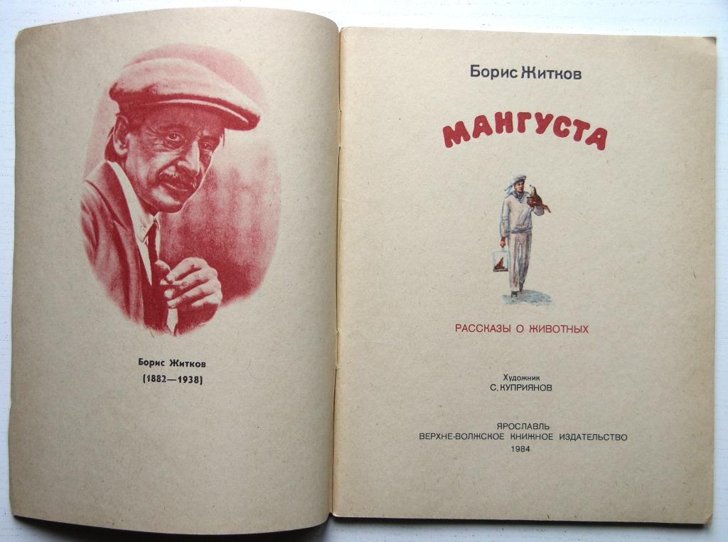 План текста мангуста