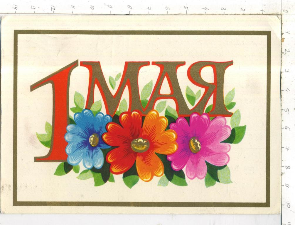 Цветы на 1 мая рисунок